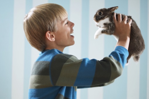 rabbit with boy.jpg